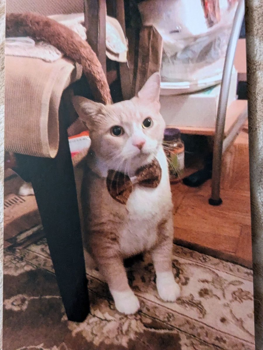 Akhimien precious tweet media