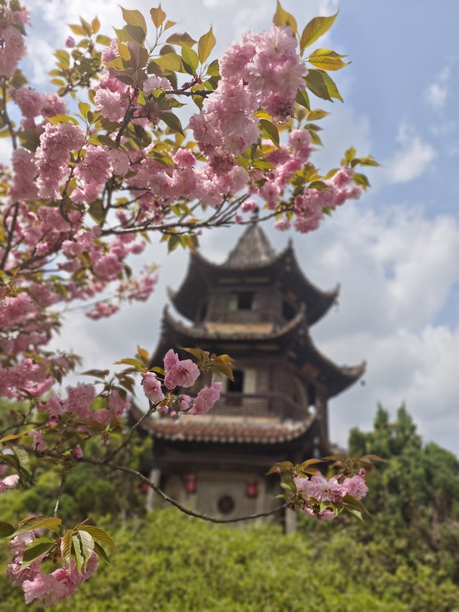 smiling-CHF tweet media