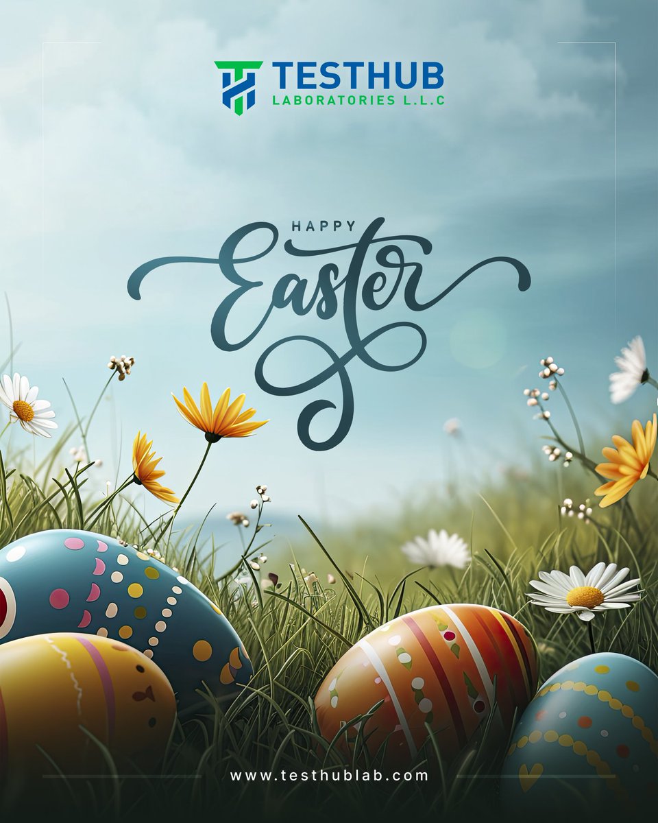 TESTHUB LAB tweet media