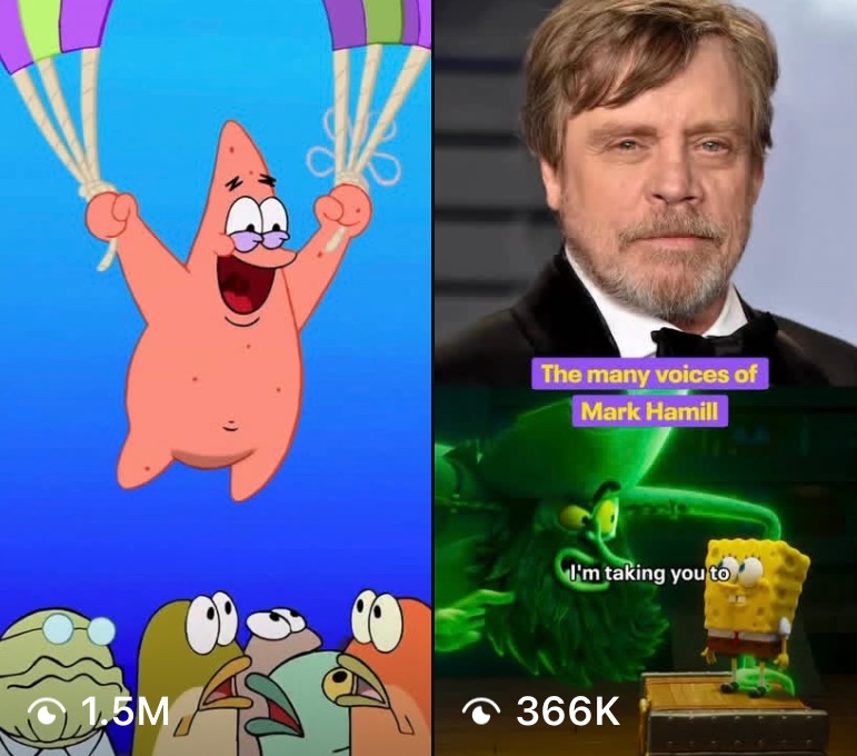 🍉melon🍈 tweet media