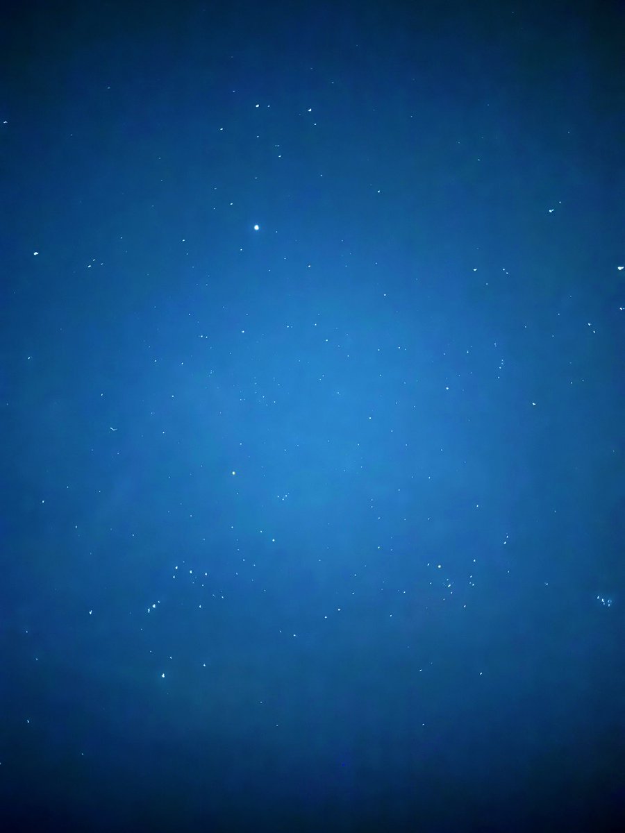 Diana Zawadzki tweet media