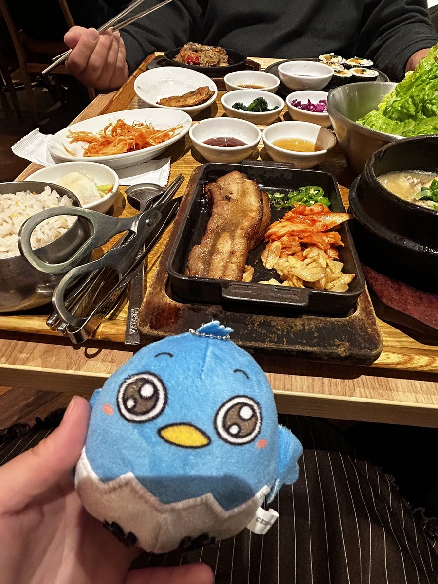 サムギョプサルだよ、シナイドリちゃん #シナイ撮り