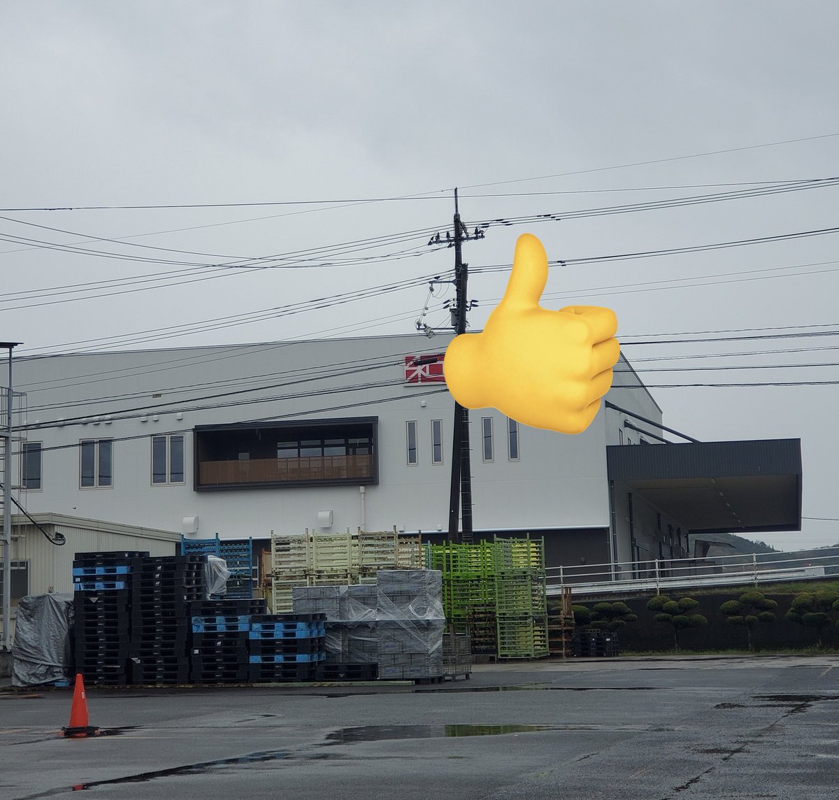 もりやん@でってれってれれ🎵🦁(ミッション147奮闘中) tweet media