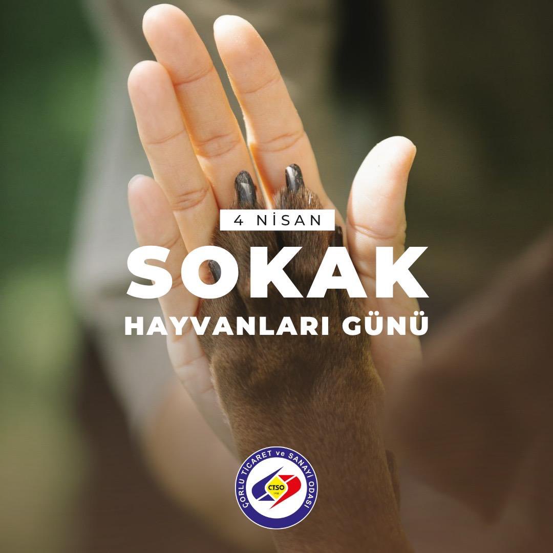 Çorlu TSO tweet media