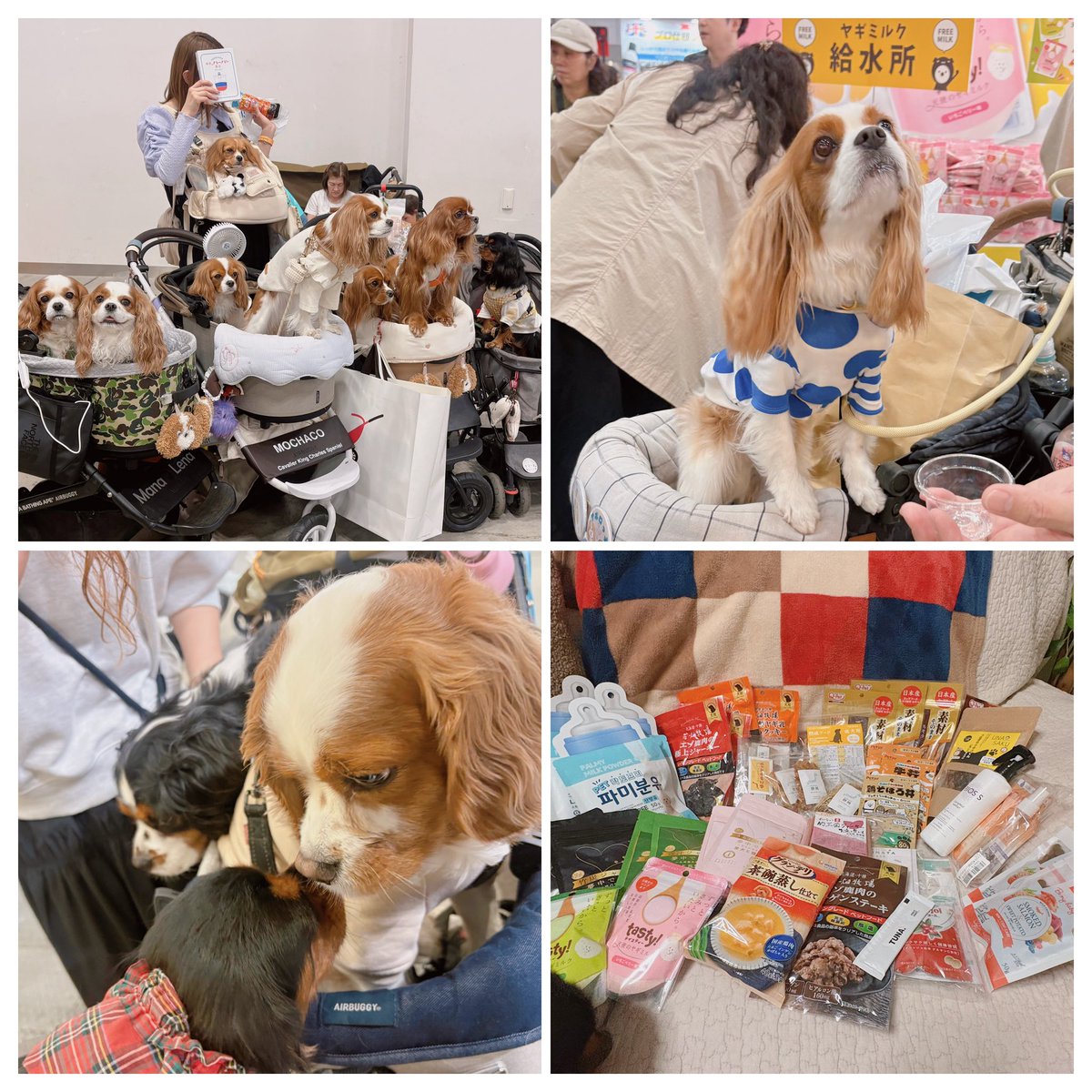 だいにぃ@空の民 tweet media