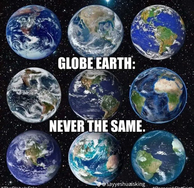 THE CRYPTO JESTER tweet media