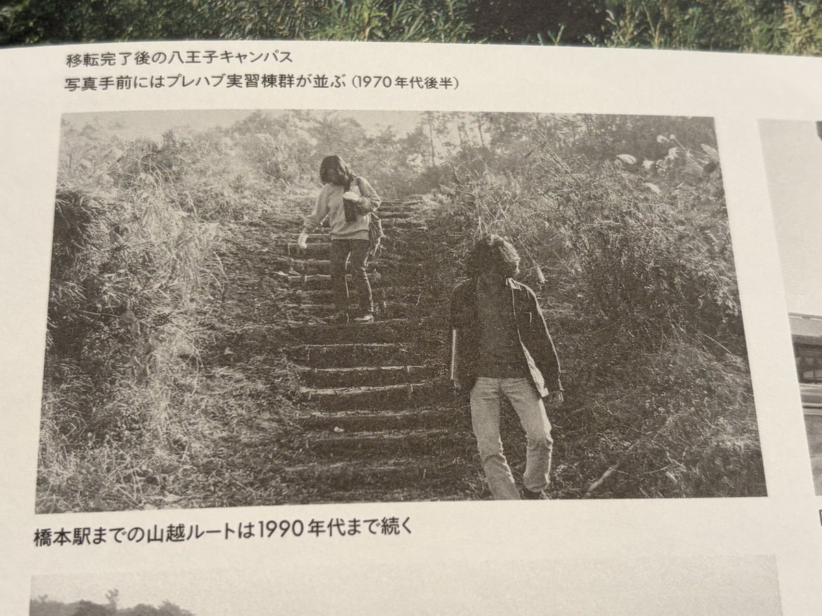 片吟企鵝人鳥 tweet media
