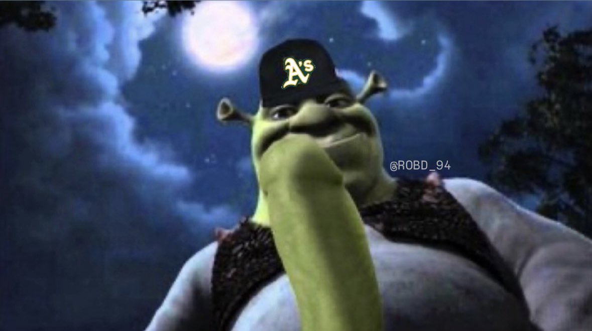 Rob🦫🐘 tweet media