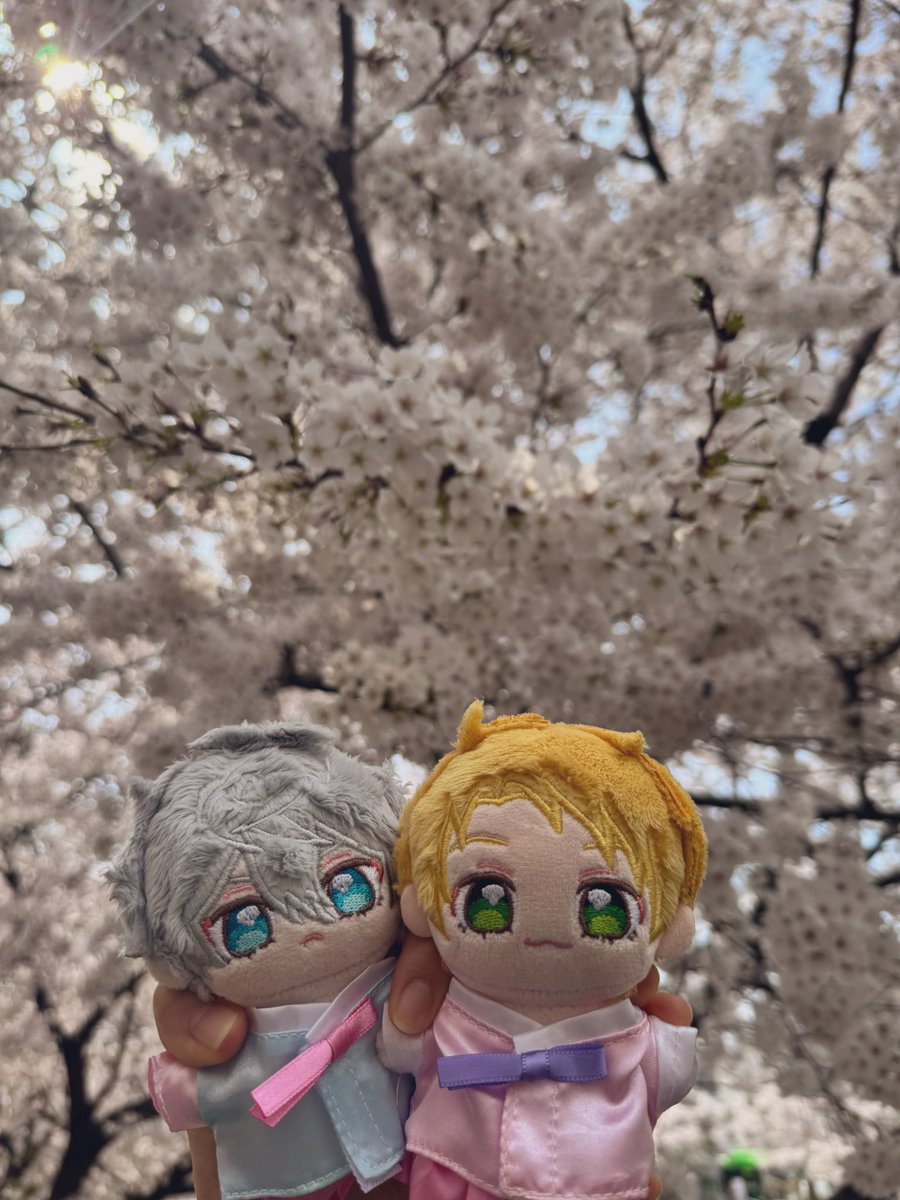 얘들아Ol즈ロr코같이하자 tweet media