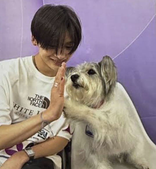 り🐹dancing sangwon tweet media