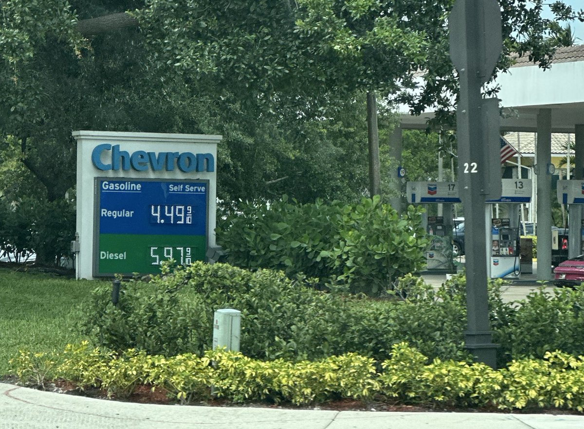 𝙂𝙚𝙧𝙖𝙧𝙙𝙤 𝙁𝙪𝙚𝙣𝙢𝙖𝙮𝙤𝙧 tweet media