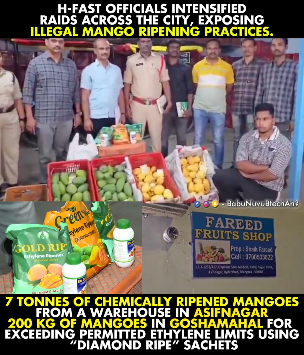 BabuNuvuBtechAh's tweet image. 🚨 #Hyderabad

👉 7 tonnes of #Mangoes seized from a warehouse in #AsifNagar, sourced from #Batasingaram and stored in 350 trays using chemical ripening agents.

👉 Around 200 kg of mangoes seized in #Goshamahal for using excess “Diamond Ripe” ethylene sachets beyond FSSAI limits