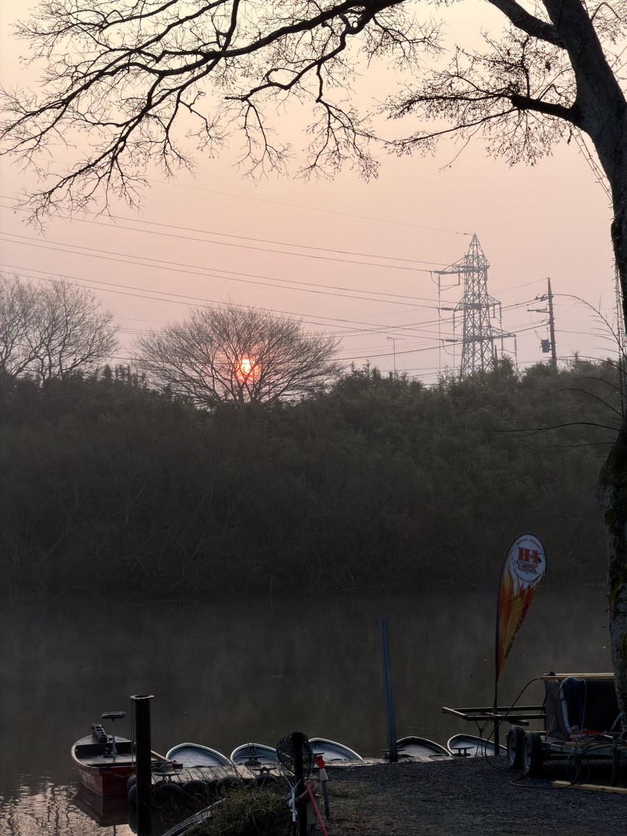 Kaz@FMStayGold.com tweet media