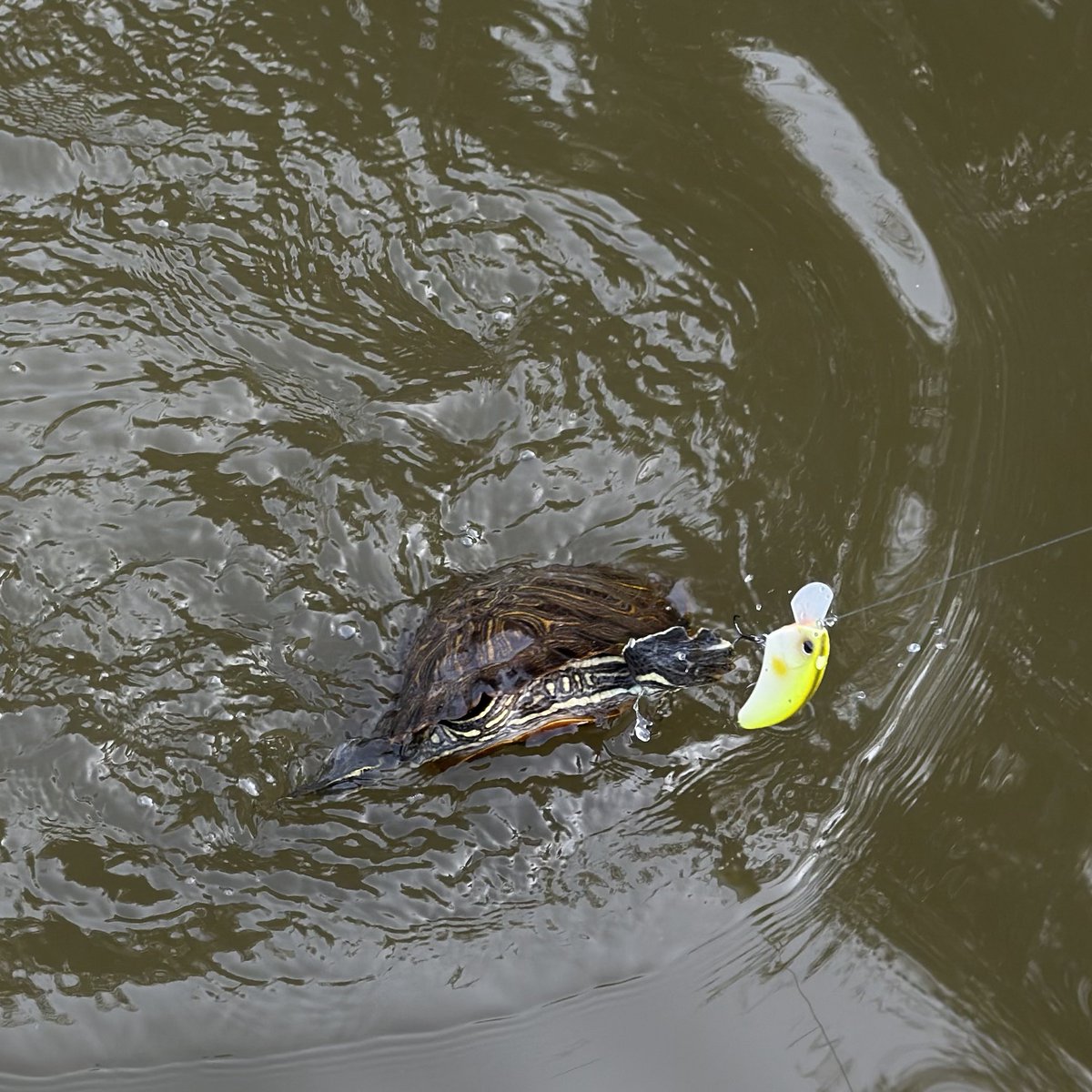 Kaz@FMStayGold.com tweet media