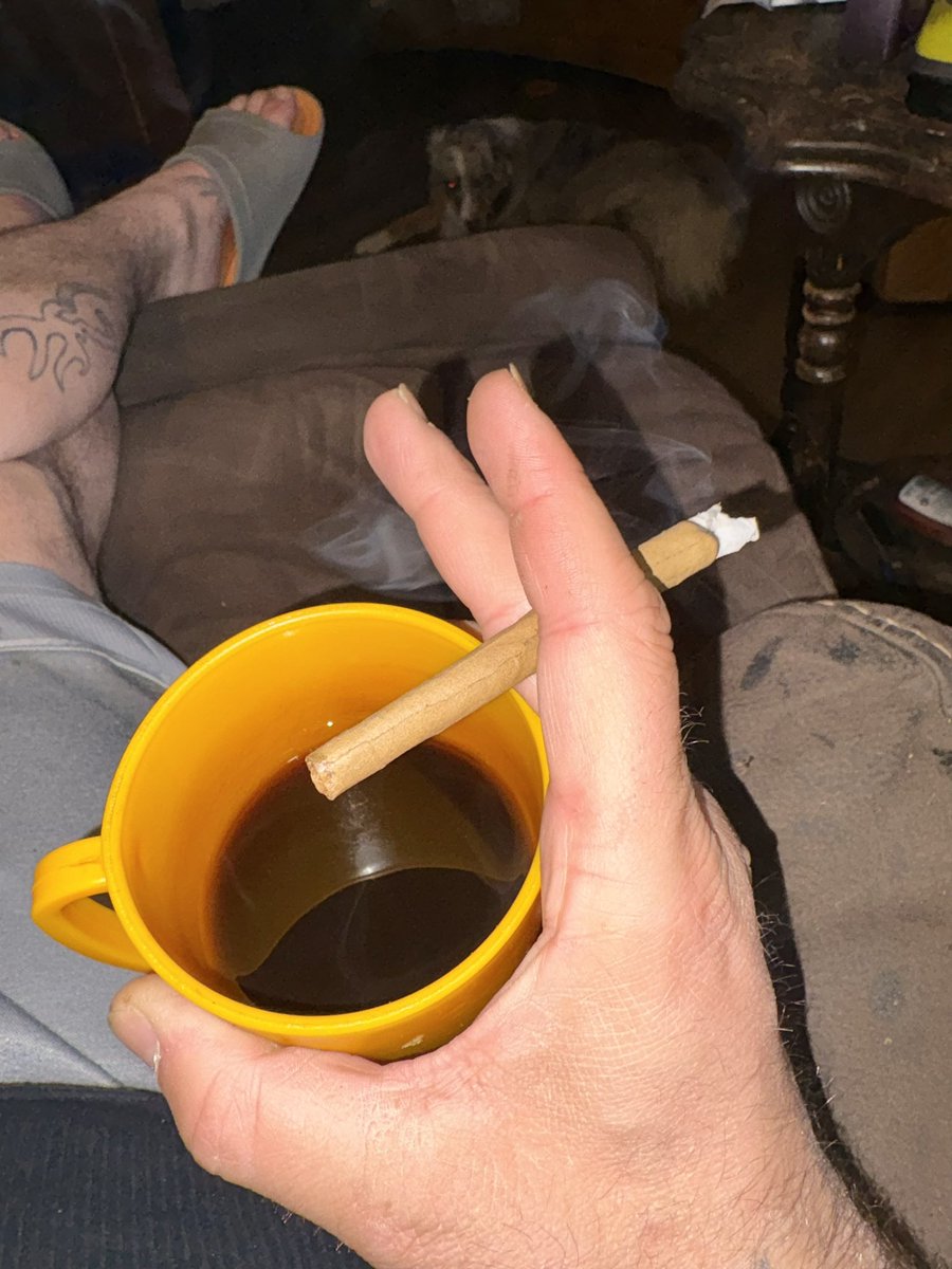 iFlyHigh™ 🎄 tweet media