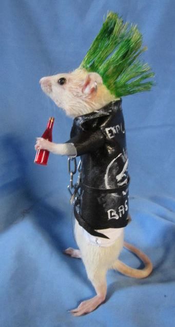 TchmFd FG tweet media