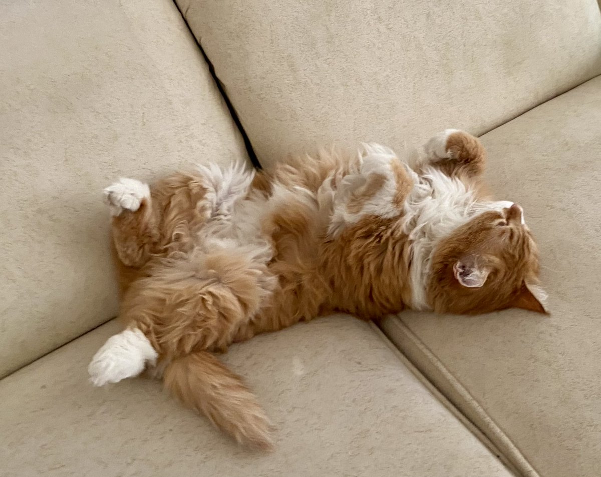 chainsmoker tweet media