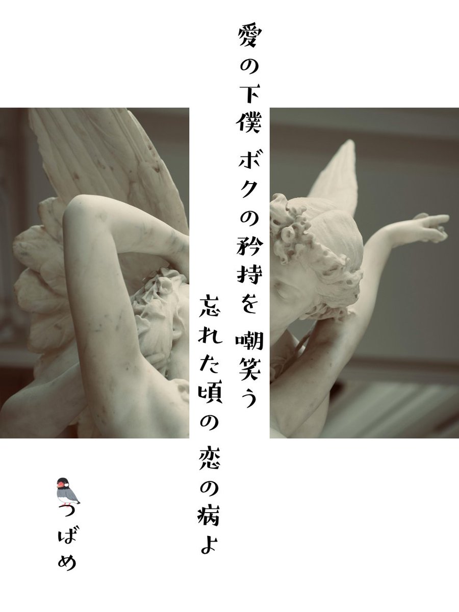 無慈悲にかき乱されて 

#つんつば #つばめ空翔ける狂歌 #短歌 #tanka #てんてこ舞いってやつぅ