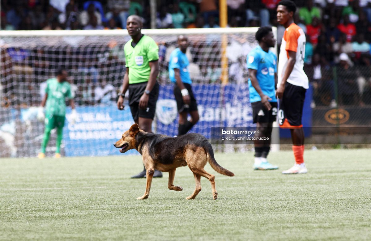 BIRIMUNDA STEPHEN@ KINGDOM CITIZEN tweet media