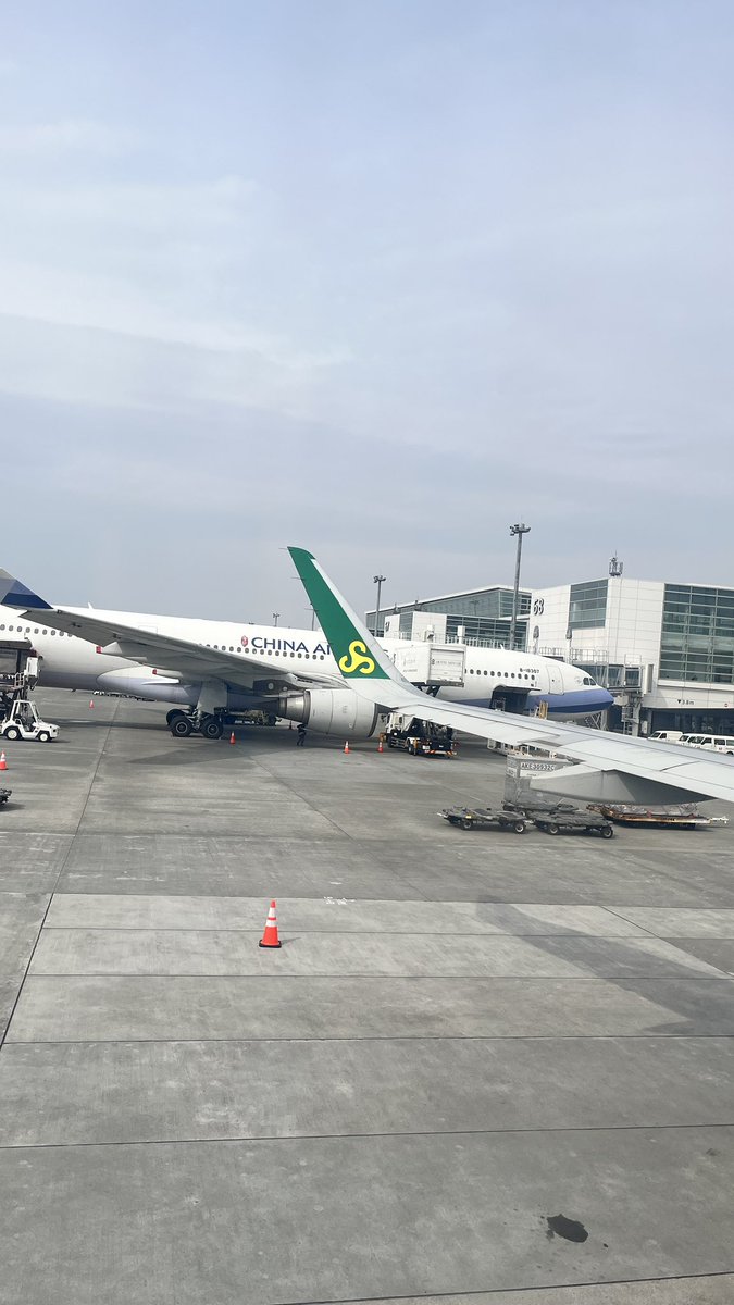 上海暮らしのホイホイ tweet media