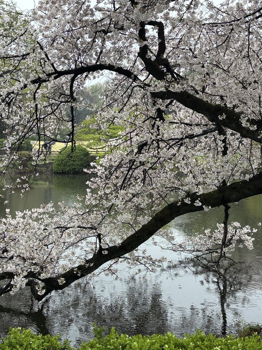 しゅー tweet media