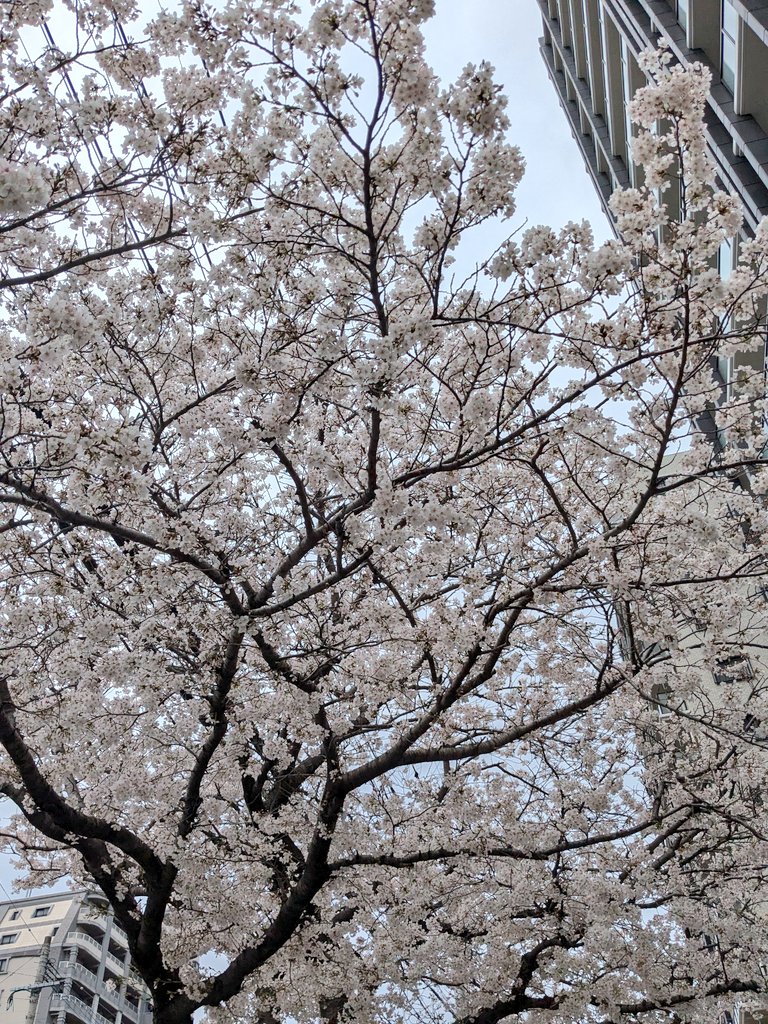 とんちゃん tweet media