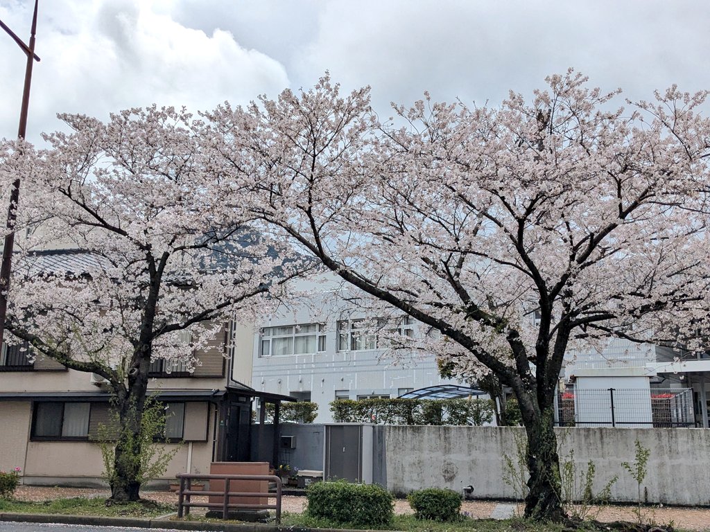 とんちゃん tweet media