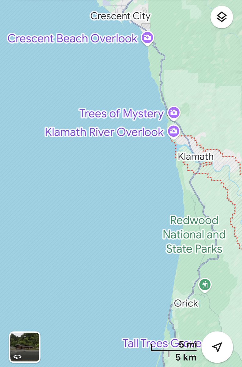 Stephen Fleming tweet media