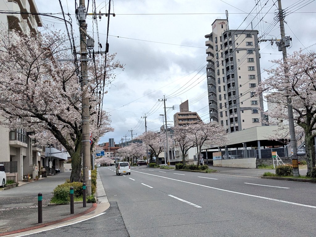 とんちゃん tweet media