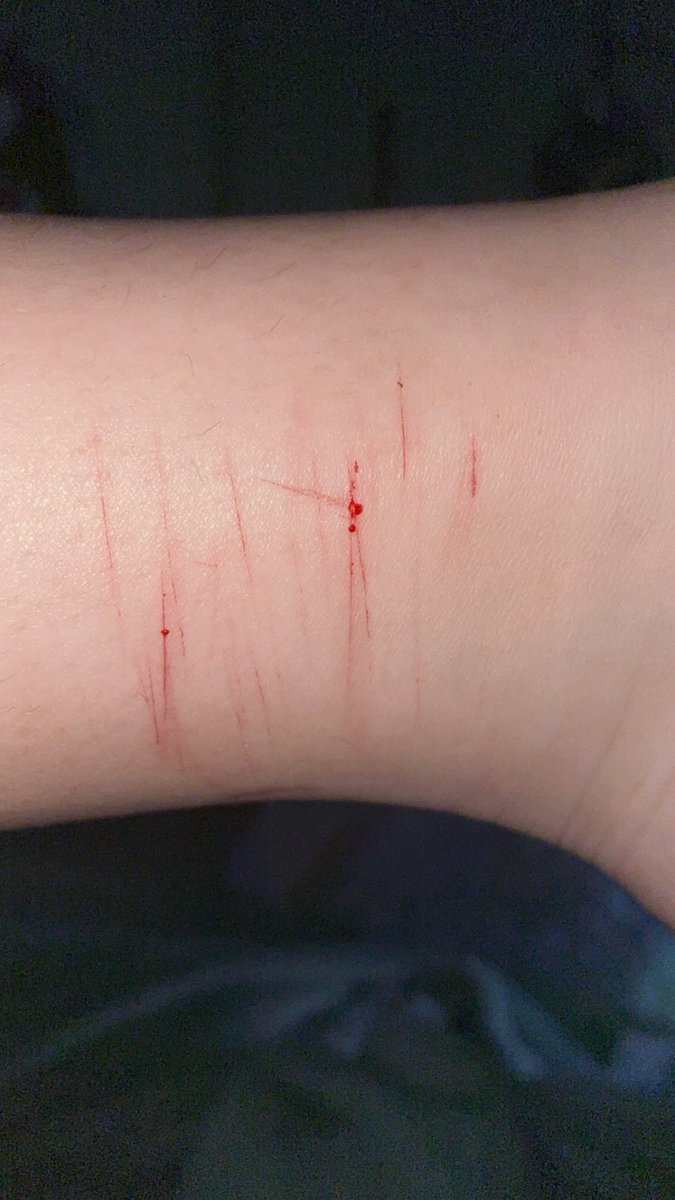 Echo🤍 tweet media