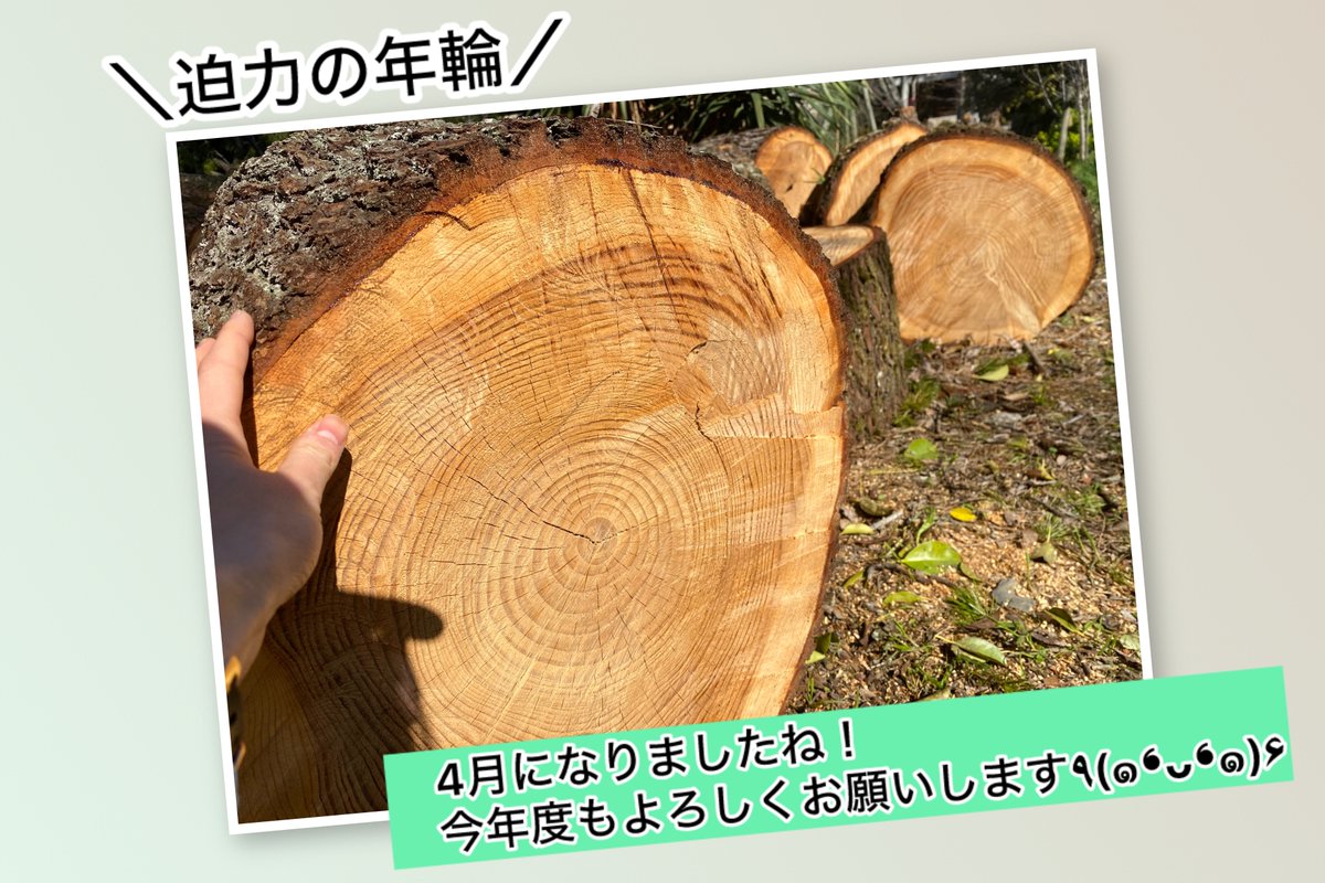 みなとん | デザインの言語化・イラレの先生 tweet media