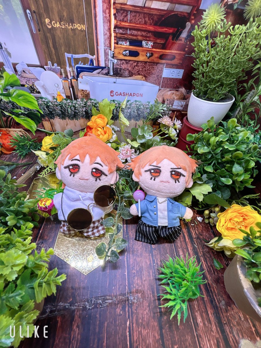 しじみ tweet media