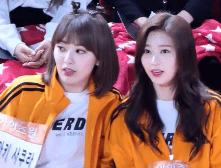 Yushii Is Celebrating🎊 tweet media