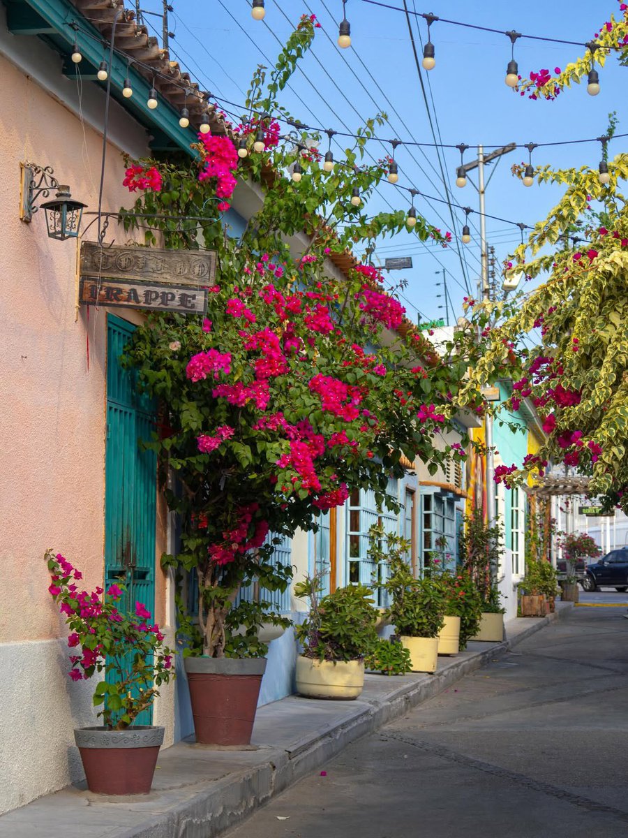 𝙰𝚖é𝚛𝚒𝚌𝚘 𝚜𝚘𝚝𝚒𝚕𝚕𝚎𝚝 tweet media