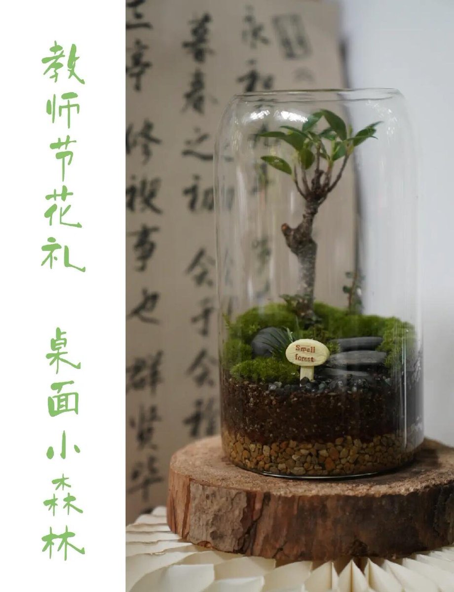 asbaby57's tweet photo. Turn an old glass jar into a cute plant pot! Clean it, add pebbles + soil, then pop in a succulent. Perfect for your desk  #UpcycleHacks #DIYDecor https://t.co/hO4UcU9oNY