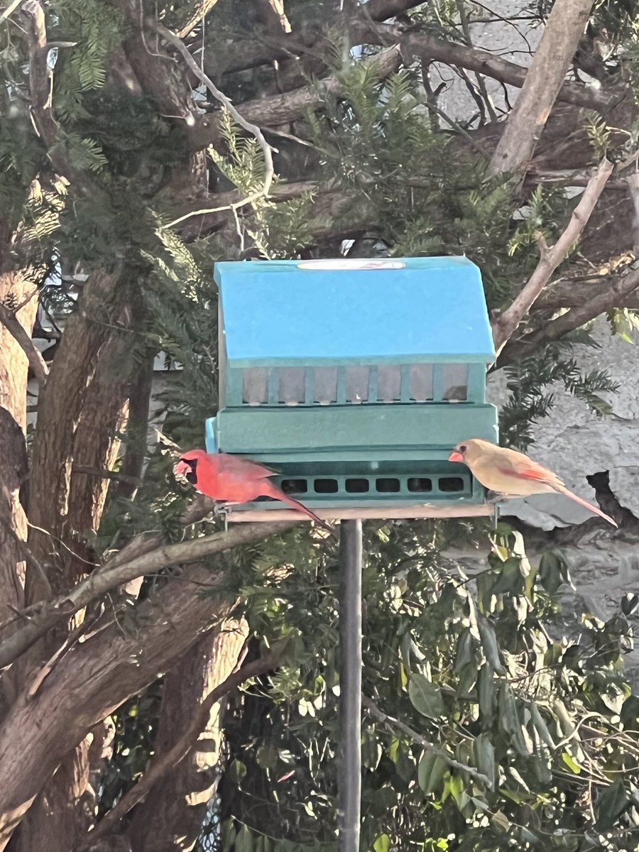 Joe Bernstein tweet media