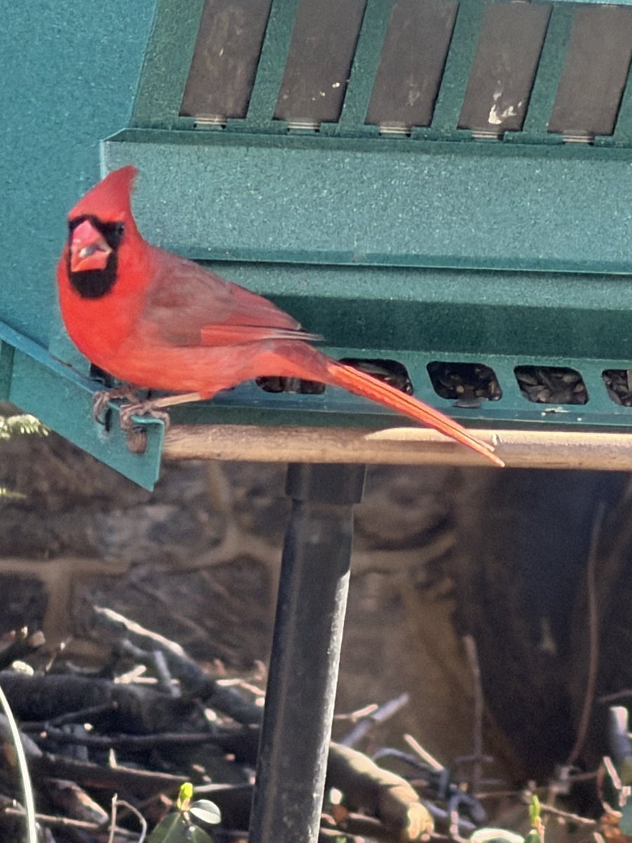 Joe Bernstein tweet media