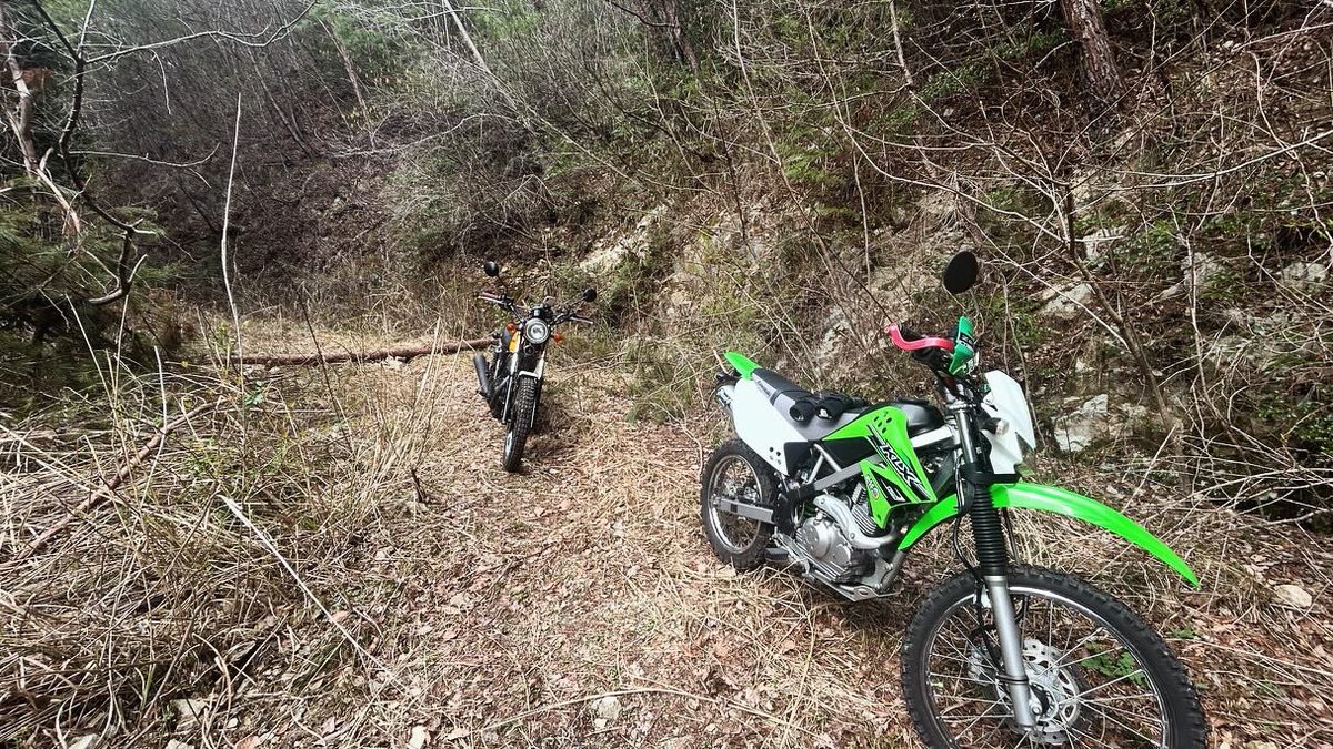 かたやま@ tweet media