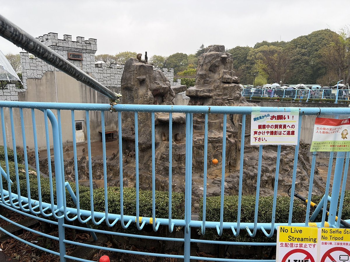 市川市動植物園（公式） tweet media