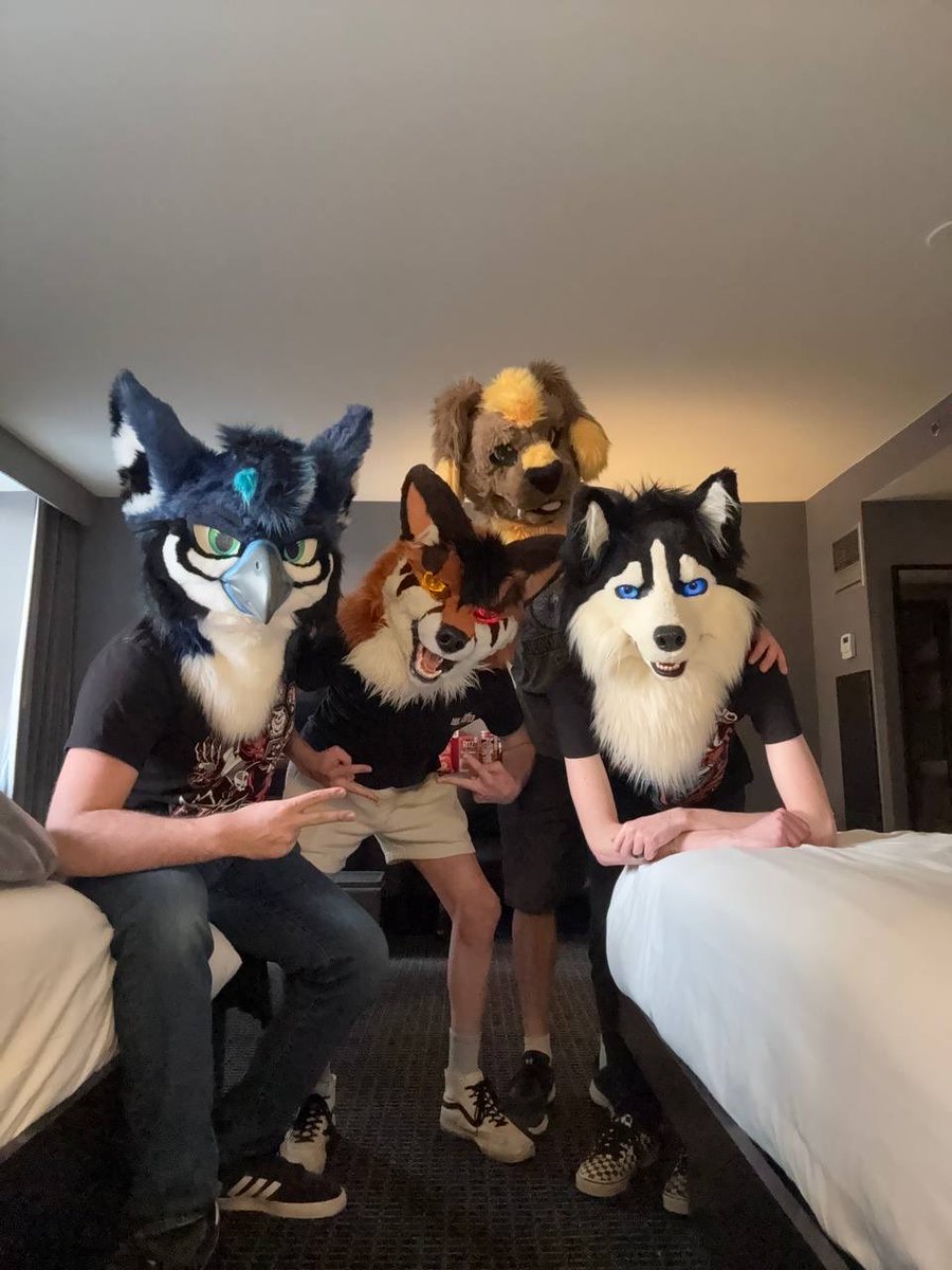 Cinnamon The Fox tweet media