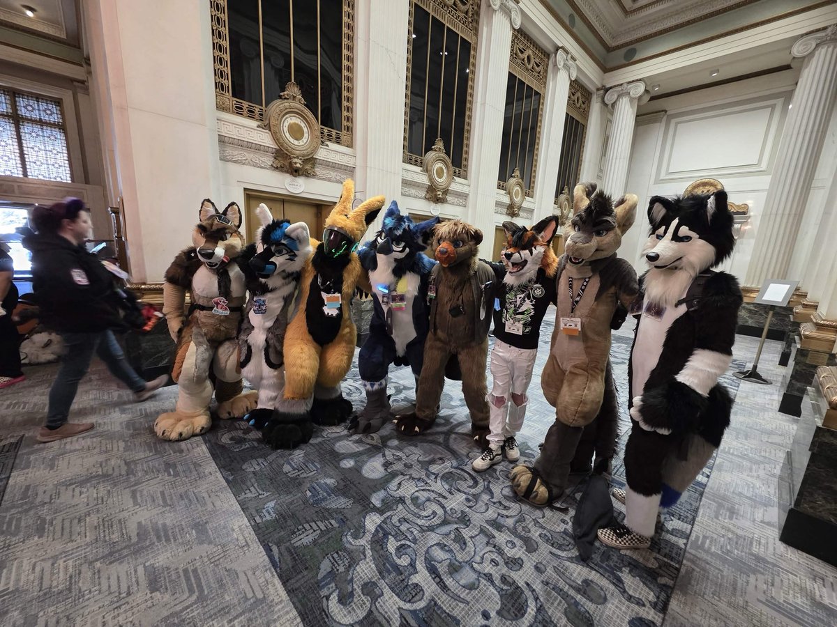 Cinnamon The Fox tweet media