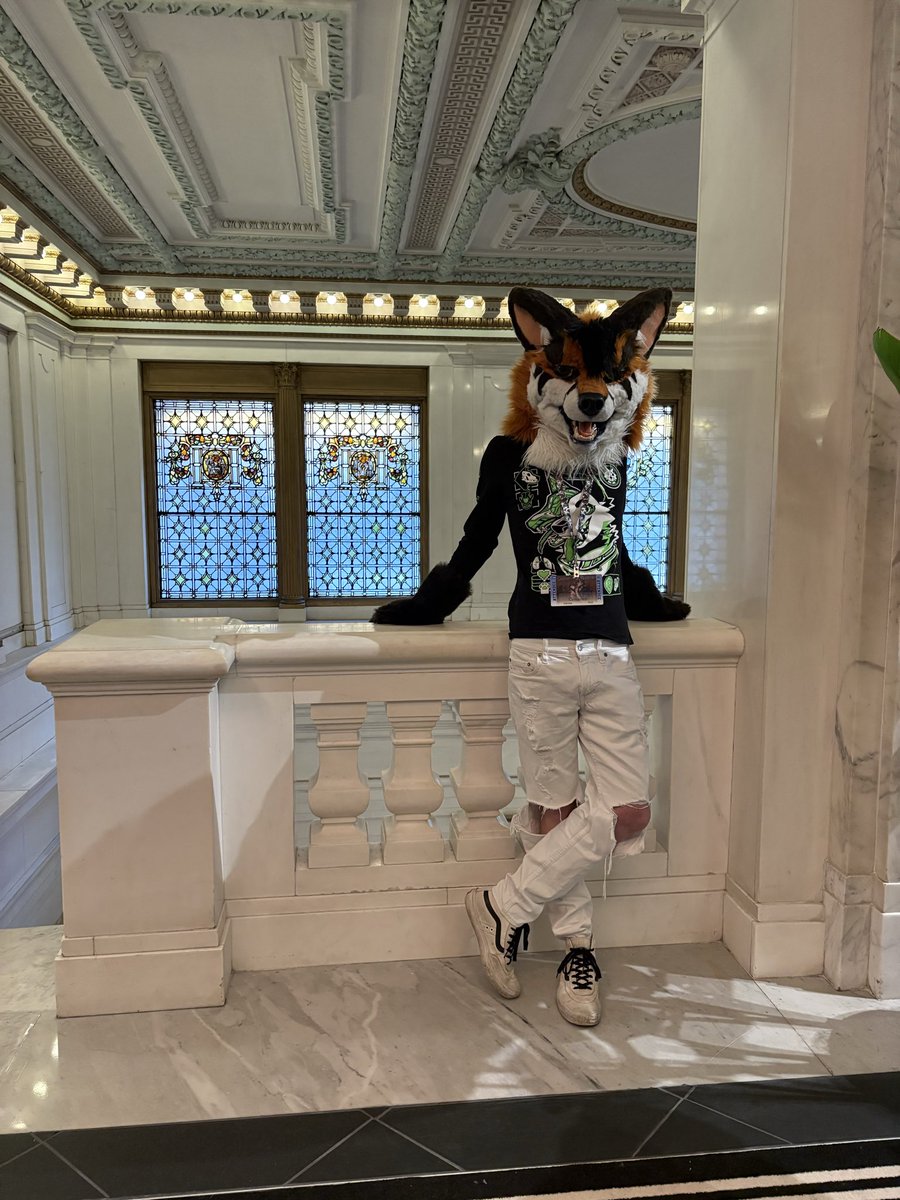 Cinnamon The Fox tweet media