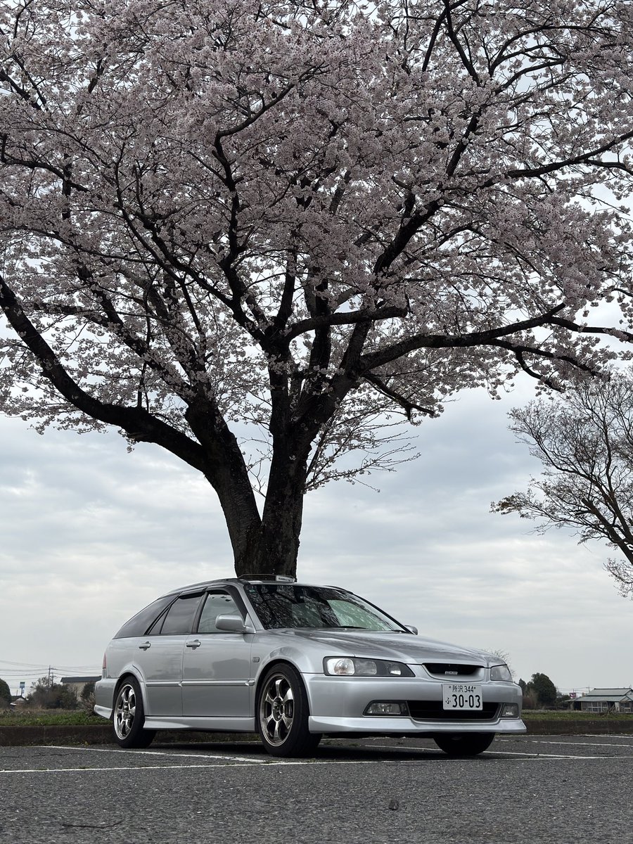 ゆーいち tweet media