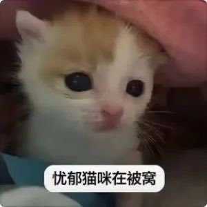 Crystalybgr's tweet photo. 啊啊啊我受不了了来个大鸡巴帅哥狠狠操我行不行🥹男朋友没做过我第一次想被很会的帅哥干 https://t.co/orfnDMZv0t