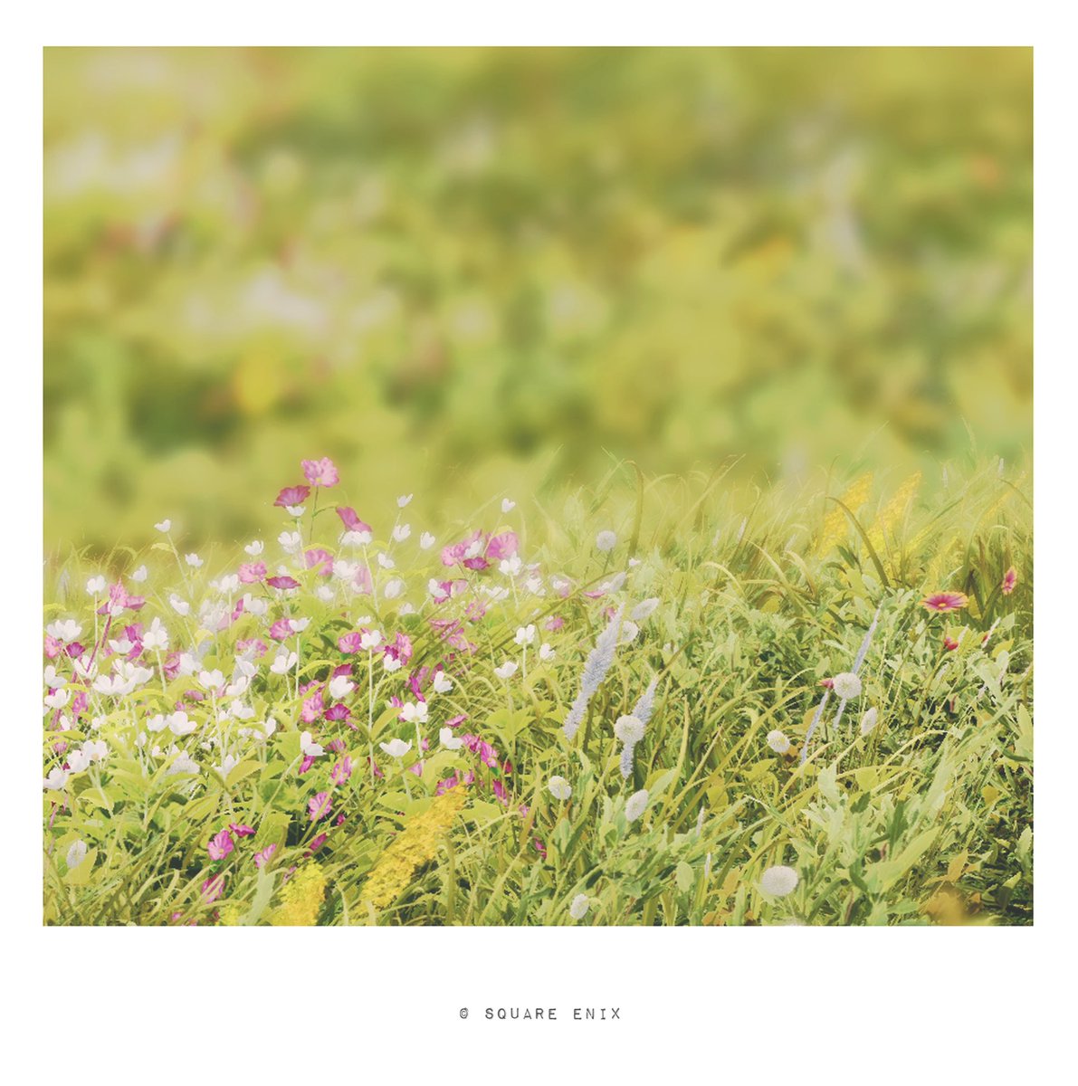 二日月 tweet media