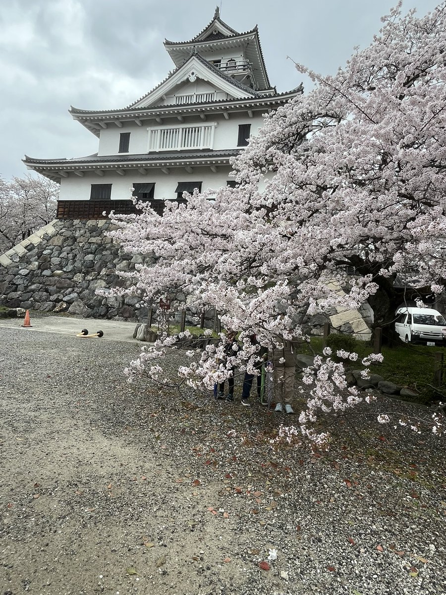 すけすけ ちよこ tweet media