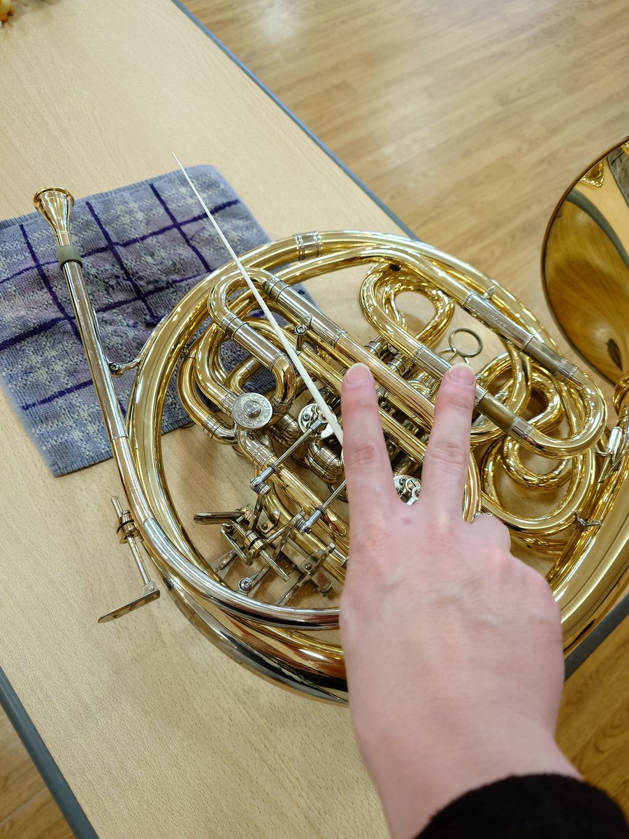 いりぼう 〄 tweet media