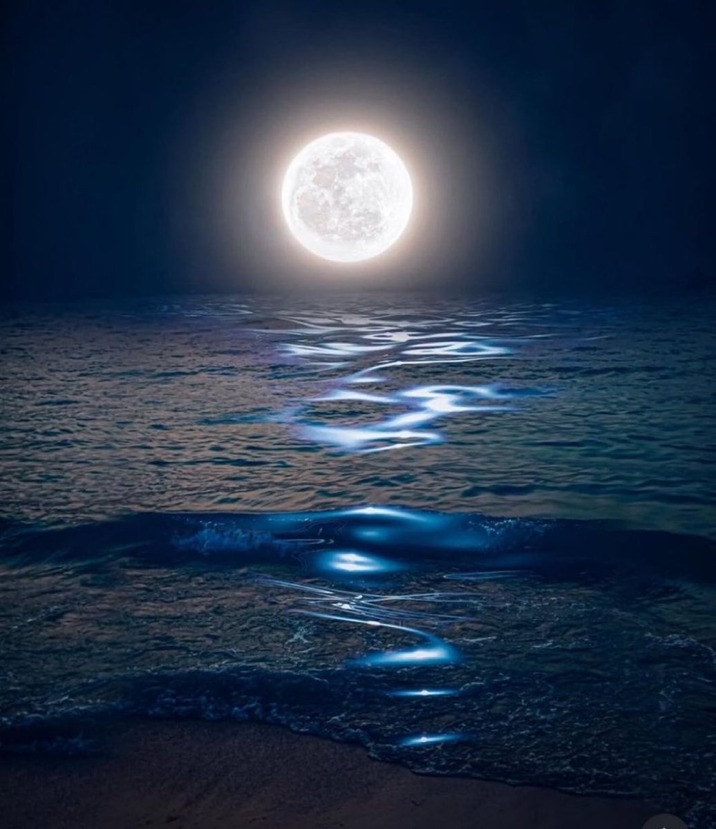 Moon News (@moondailys) on Twitter photo 