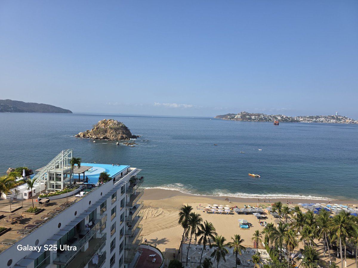 sofiaygerardo tweet media