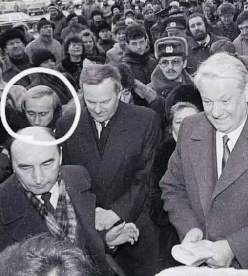 Вера Измайлова tweet media